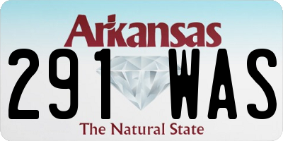 AR license plate 291WAS