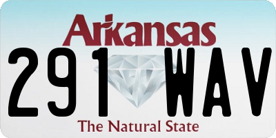 AR license plate 291WAV