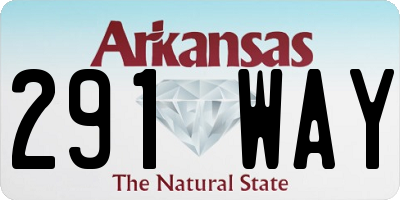 AR license plate 291WAY