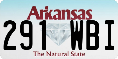 AR license plate 291WBI