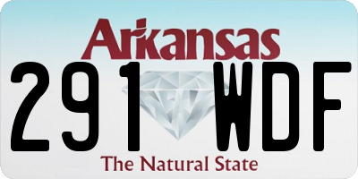 AR license plate 291WDF