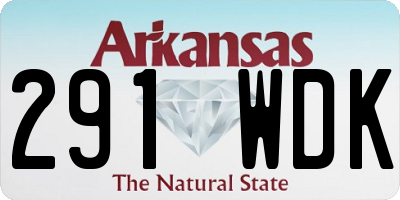 AR license plate 291WDK