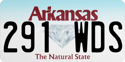 AR license plate 291WDS