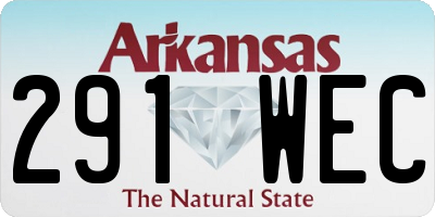 AR license plate 291WEC