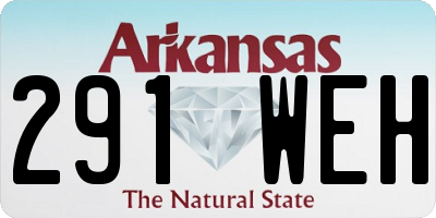 AR license plate 291WEH