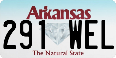 AR license plate 291WEL