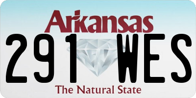 AR license plate 291WES