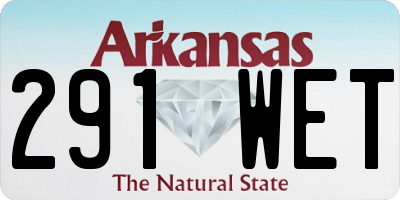 AR license plate 291WET