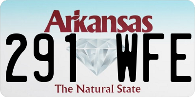 AR license plate 291WFE