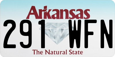 AR license plate 291WFN