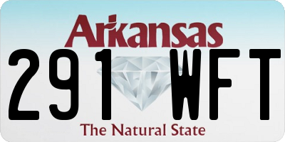 AR license plate 291WFT