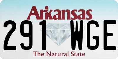 AR license plate 291WGE
