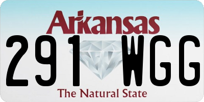 AR license plate 291WGG