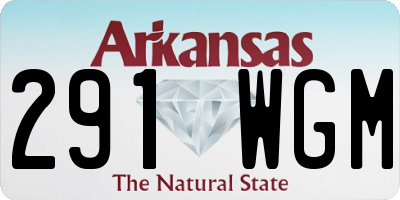 AR license plate 291WGM