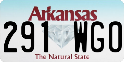 AR license plate 291WGO