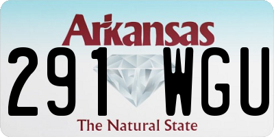 AR license plate 291WGU