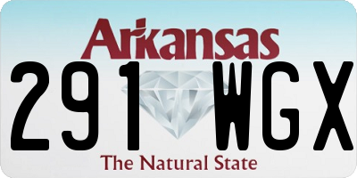 AR license plate 291WGX