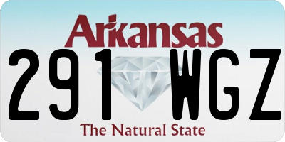 AR license plate 291WGZ