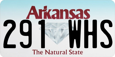 AR license plate 291WHS