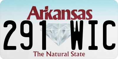 AR license plate 291WIC