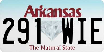 AR license plate 291WIE