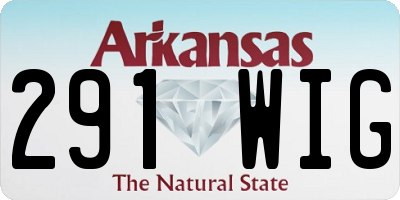 AR license plate 291WIG