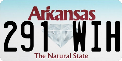 AR license plate 291WIH