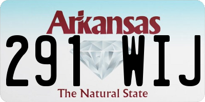 AR license plate 291WIJ