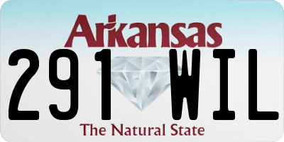 AR license plate 291WIL
