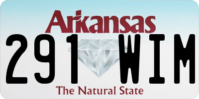 AR license plate 291WIM