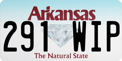AR license plate 291WIP