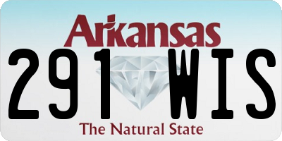 AR license plate 291WIS
