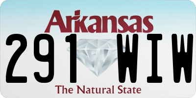 AR license plate 291WIW