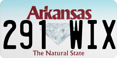 AR license plate 291WIX