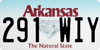 AR license plate 291WIY