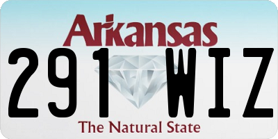 AR license plate 291WIZ