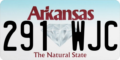 AR license plate 291WJC