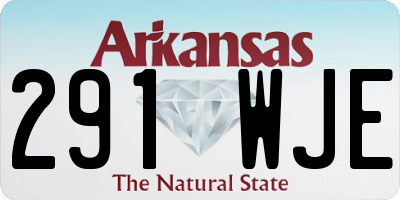AR license plate 291WJE