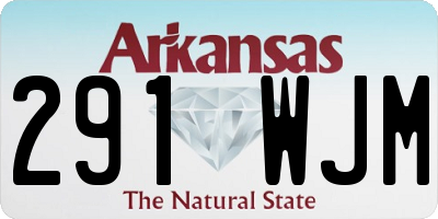 AR license plate 291WJM
