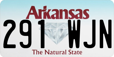 AR license plate 291WJN