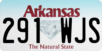 AR license plate 291WJS