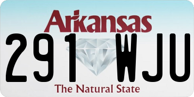 AR license plate 291WJU