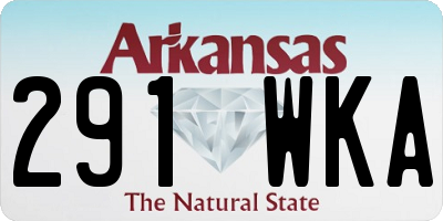 AR license plate 291WKA