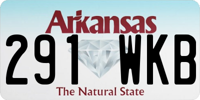 AR license plate 291WKB