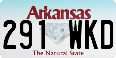 AR license plate 291WKD