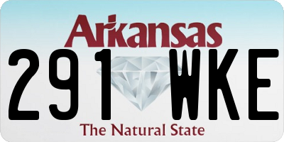 AR license plate 291WKE