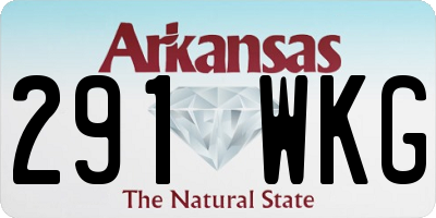 AR license plate 291WKG