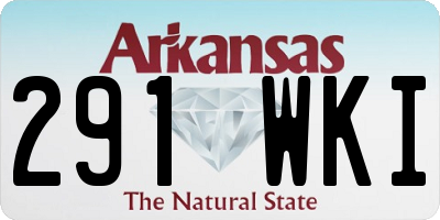 AR license plate 291WKI