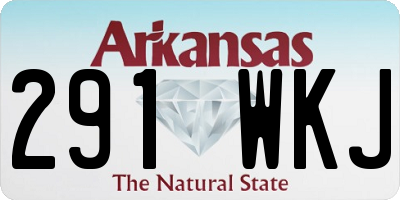 AR license plate 291WKJ