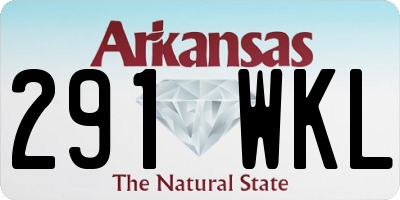 AR license plate 291WKL